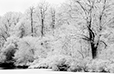 A Winter's Day II
